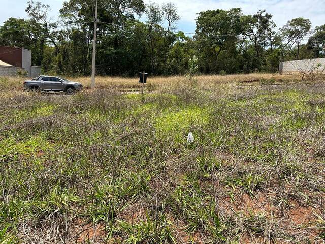 #51 - Lotes para Venda em Itabirito - MG - 3