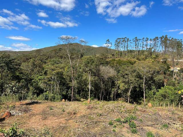 #73 - Área para Venda em Itabirito - MG - 2